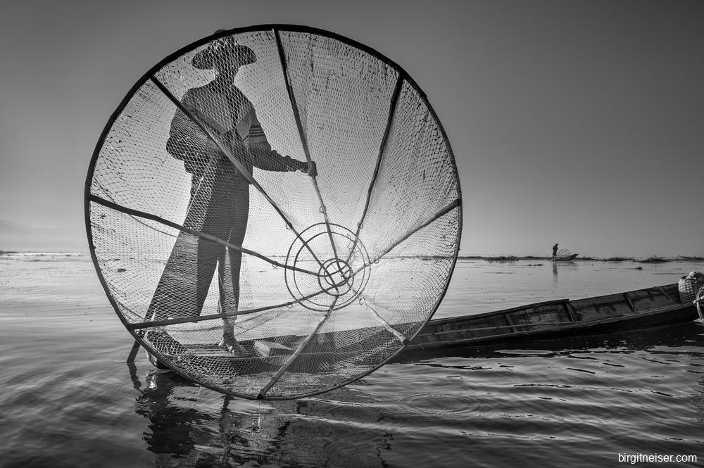 Catching the Light - Birgit Neiser