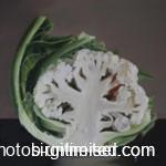 forth-halved-cauliflower-with-yellow-ladybird-150x150